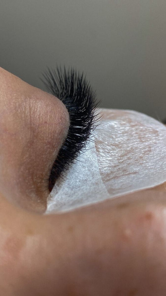 Any Full Set of Lashes