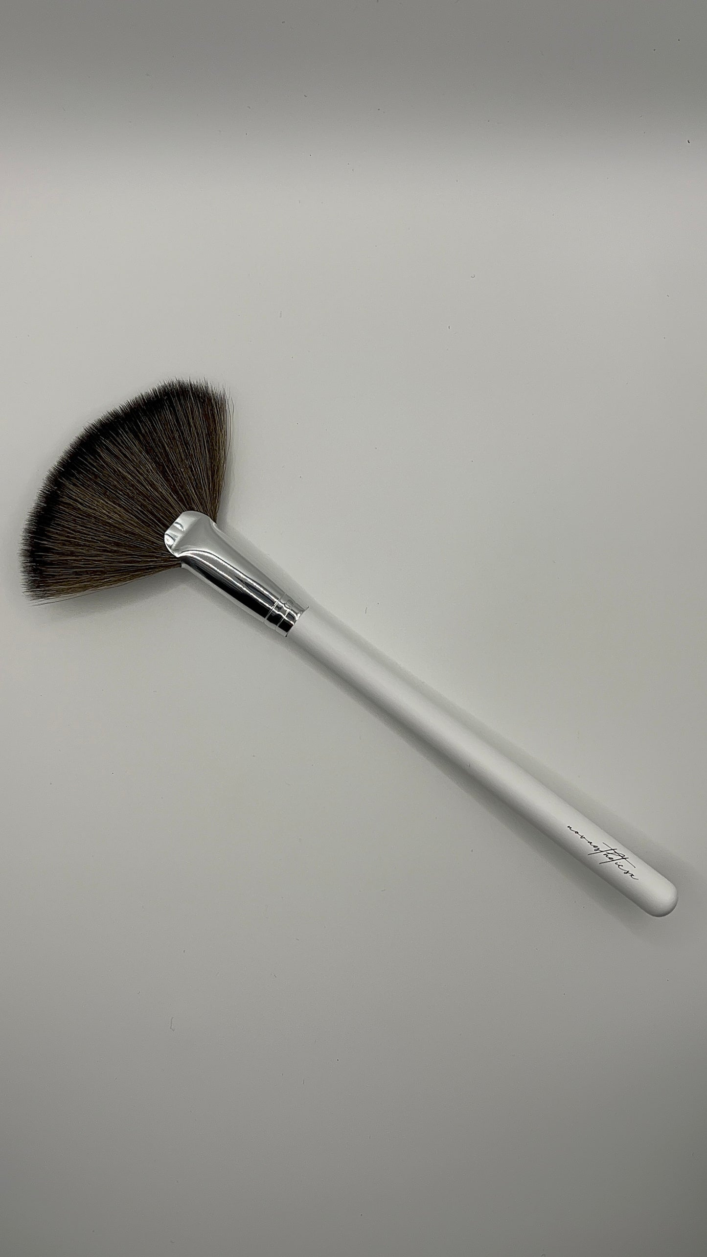 Large Fan Brush
